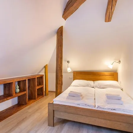 Apartahotel Masná 20 - Old Town Praga