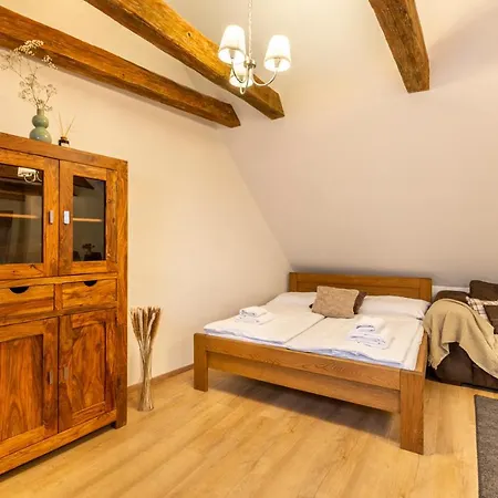 Apartahotel Masná 20 - Old Town 4*
